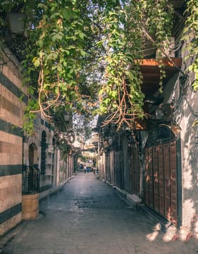 استثمارات تجارية